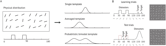 Probabilistic templates in visual working memory