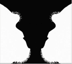 VISUAL ILLUSIONS