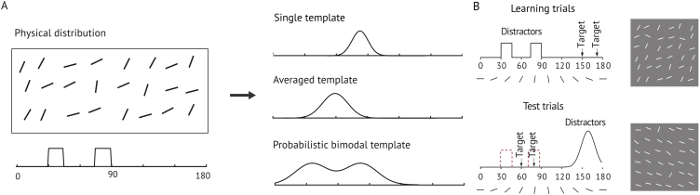 Rappresentazioni probabilistiche in memoria di lavoro visiva